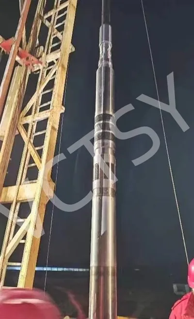 VCHP serija ultra-visokog pritiska paker API 11D1